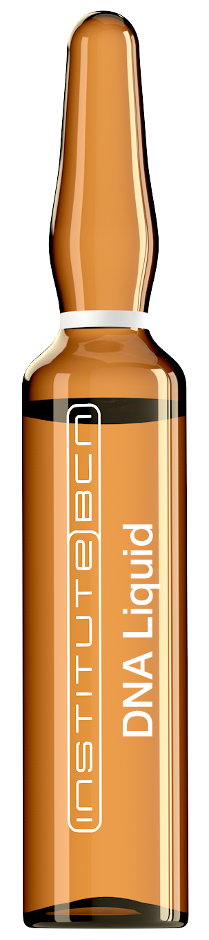 X-DNA GEL